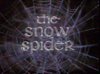 The Snow Spider DVD