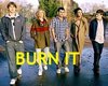 Burn It DVD - (2003)