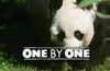 One By One DVD - Complete Series One, Two, Three