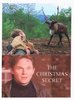 The Christmas Secret DVD - Richard Thomas & Beau Bridges