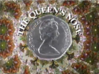 The Queen's Nose DVD - Series 1,2,3,4,5,6, 7